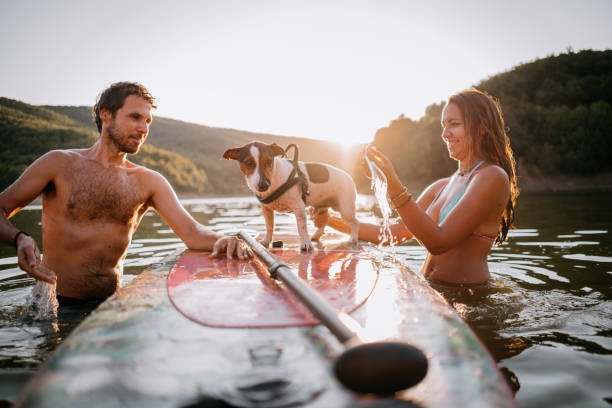 istock Happy Couple Paddle Boarding at Sunset with dog 1354727417