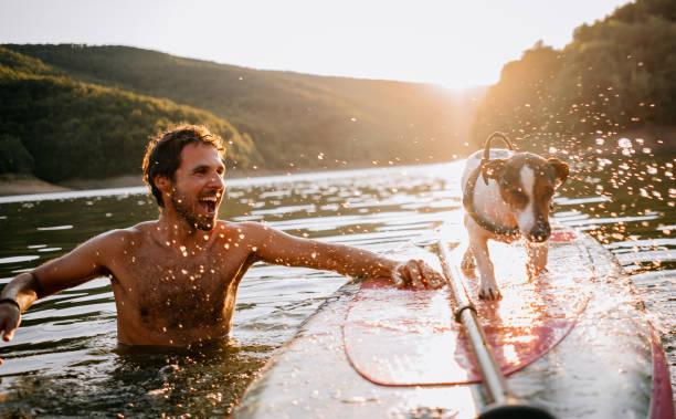 couple with a paddle board and dog - dog tranquil scene pets animals and pets imagens e fotografias de stock