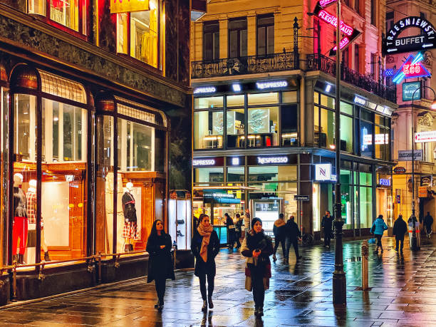 calle graben de invierno en viena - nightlife city night rain fotografías e imágenes de stock