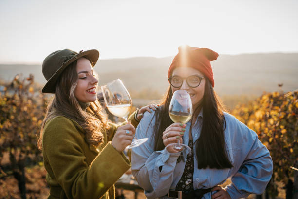 Girlfriends are having fun in the vineyard stock photo