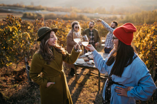 istock Friends are having fun in the vineyard 1354734755