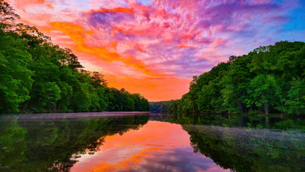 Colorful sunrise at the edge of a tree lined lake of still water and reflection stock photo