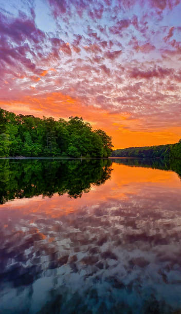 Warm glow from sunrise around tree lined lake with perfect reflection stock photo