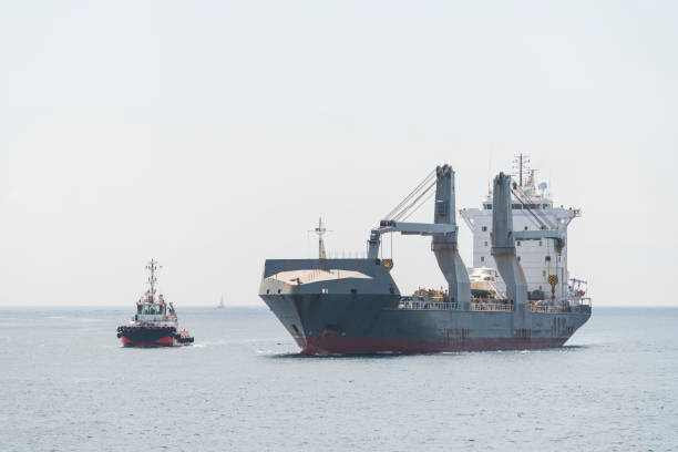 istock Cargo ships at sea at sunny day 1354738562