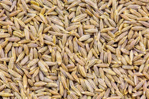 cumin seeds macro full frame background