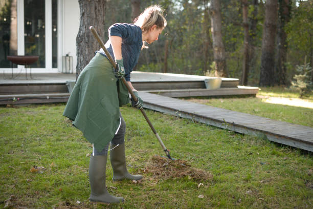 istock woman working in the garden 1354741087