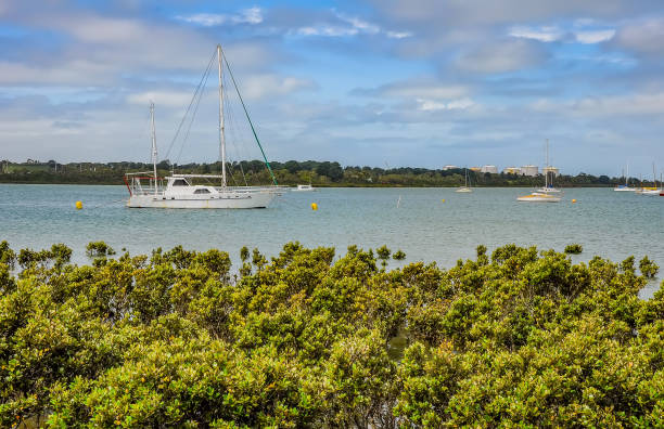 istock Walk in the Hastings Coastal Reserve. 1354741090