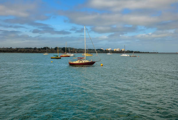 istock Walk in the Hastings Coastal Reserve. 1354741100