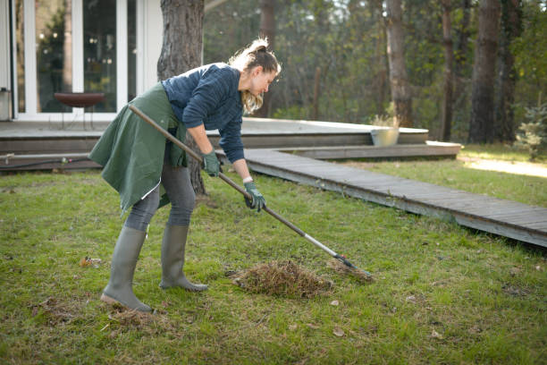 istock woman working in the garden 1354742243
