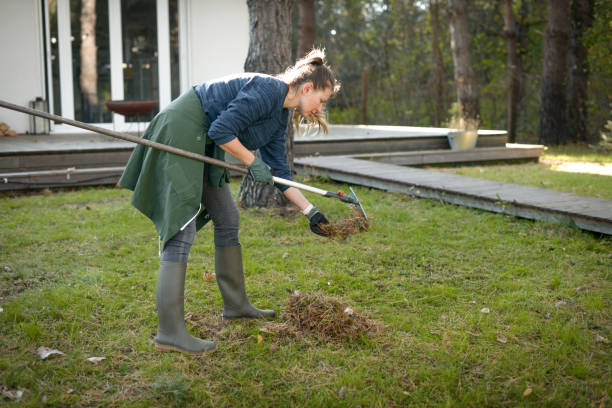 istock woman working in the garden 1354742317