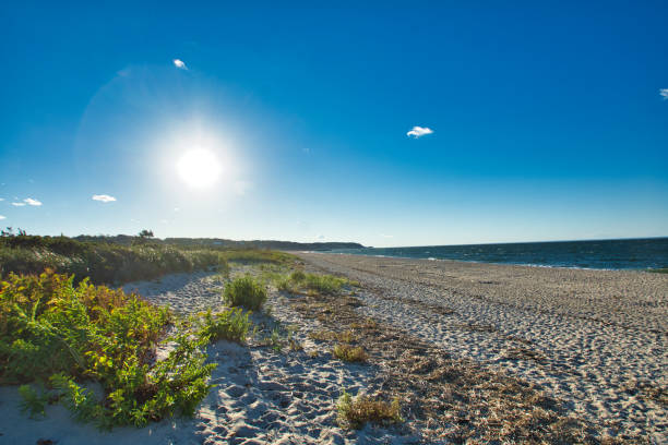 istock Sand, Sun and sky at Cedar Beach #1 1354742739