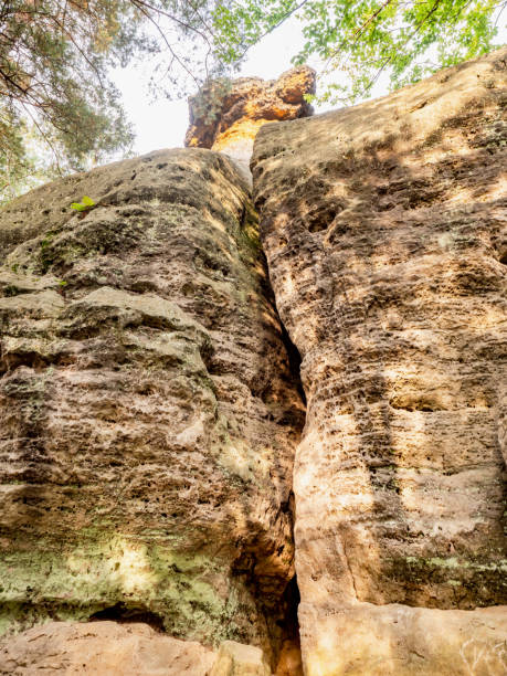 istock Sandstone rock formation, Kokorin Protected landscape Area, forest in sunny day 1354749831