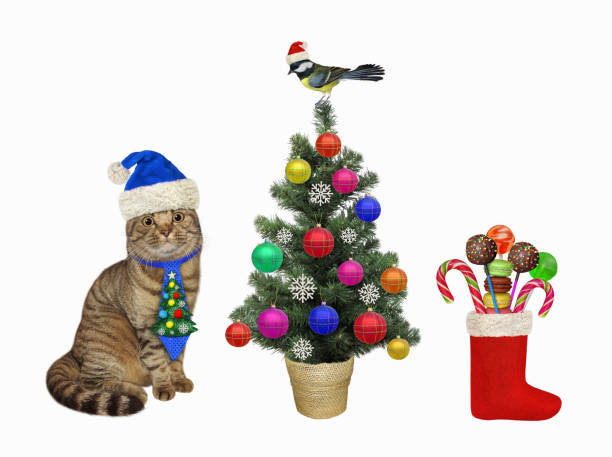 istock Cat in holiday tie near Christmas tree 2 1354750908