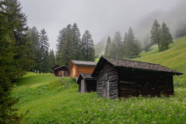 istock Beautiful alpine landscape in Liechtenstein. 1354751910