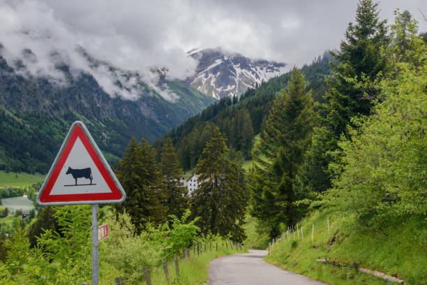 istock Beautiful alpine landscape in Liechtenstein. 1354751913