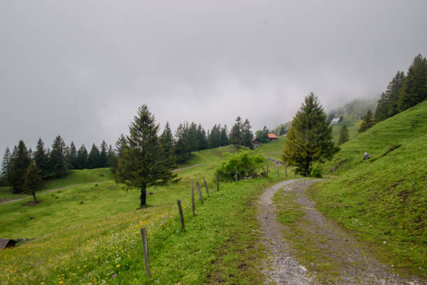 istock Beautiful alpine landscape in Liechtenstein. 1354751975