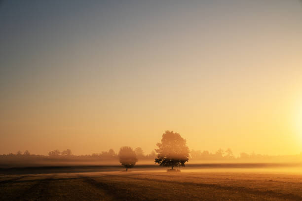 istock Autumn sunny morning landscape 1354753150