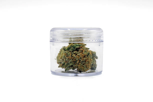 istock Marijuana buds in a clear boat isolated on a white background 1354753795