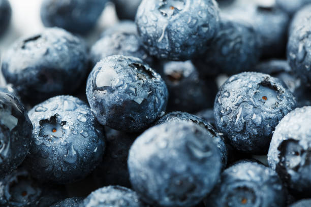 istock Blueberries close-up in full screen with dew drops. 1354754254