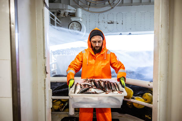 istock Fishing industry: Fisherman carrying a box of fresh fish 1354763132