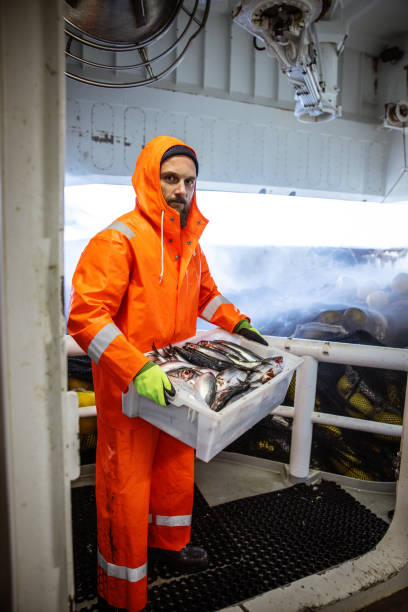 istock Fishing industry: Fisherman carrying a box of fresh fish 1354763164