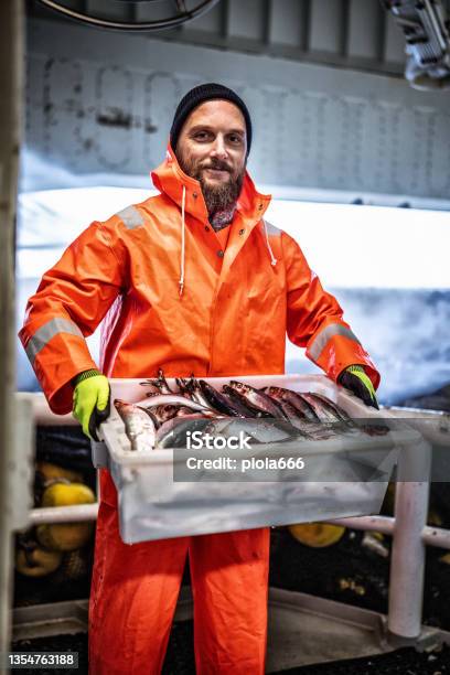 Fisherman With Fresh Fish Box On The Fishing Boat Deck Stock Photo - Download Image Now
