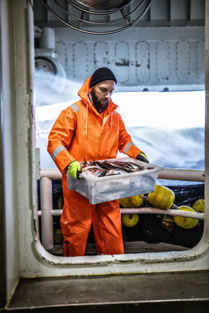 istock Fishing industry: Fisherman carrying a box of fresh fish 1354763343