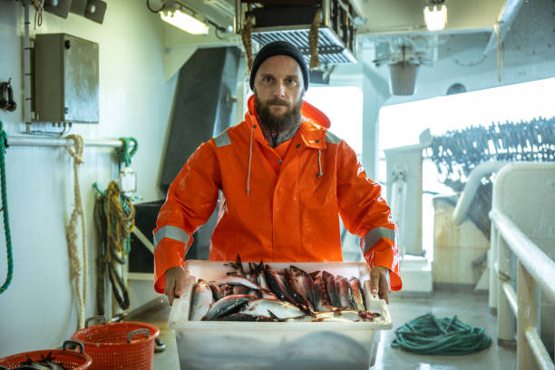 istock Fisherman with fresh fish box on the fishing boat deck 1354763381