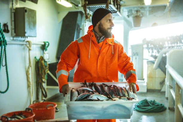 istock Fishing industry: Fisherman carrying a box of fresh fish 1354764518