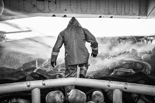 Fisherman on a trawler, over a fishing net