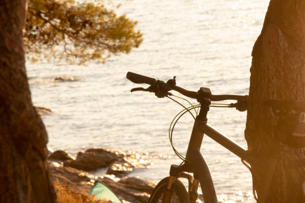 istock Bike leaned on a pine tree above seaside beach in summer sunset 1354765087