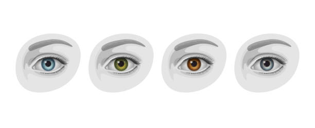 Beautiful woman eyes with irises of blue, green, brown and gray colors Beautiful woman eyes with irises of blue, green, brown and gray colors. Accent is on color of iris, other part of eye is in gray colors. Concept of color variety and diversity of human eyes hazel blue eyes stock illustrations