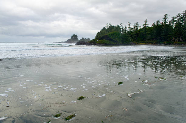 istock Fall day in Cox Bay beach in Tofino 1354769455