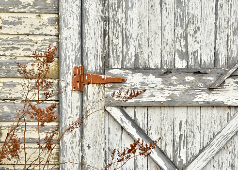 Country shed doors outdoors highlighting rusty hinges, old barn wood and artisan construction