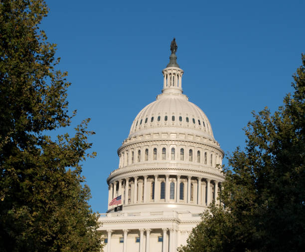 istock Omicron Covid Variant - Travel Restrictions and Lockdowns Policy, Washington DC 1354773843