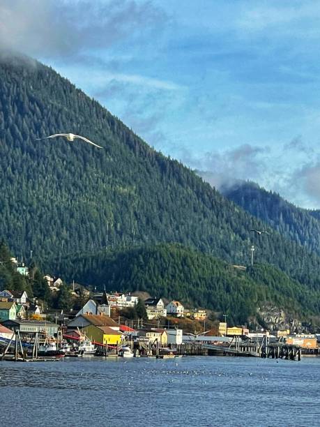 istock Ketchikan by the sea 1354774234