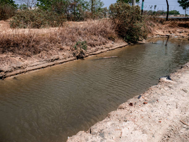 istock a puddle that resembles a small lake but looks arid 1354774795