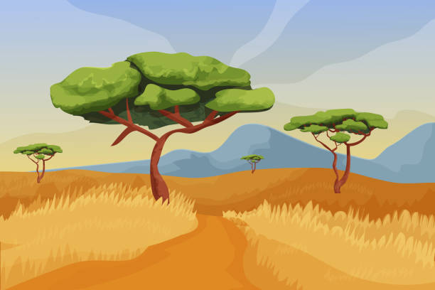 Savannah landscape, scenery with acacia trees, road, blue sky and mountains in cartoon style isolated on white background. African prairie, wild safari meadow. Vector illustration Savannah landscape, scenery with acacia trees, road, blue sky and mountains in cartoon style isolated on white background. African prairie, wild safari meadow. Vector illustration desert safari stock illustrations