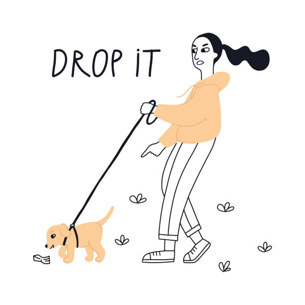 illustrazioni stock, clip art, cartoni animati e icone di tendenza di la ragazza dà un segnale della mano al cucciolo.
il cane è al guinzaglio. - remote dog control animal