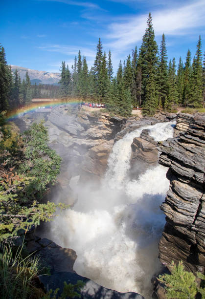 istock Athabaska falls near Jasper 1354780789