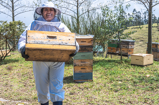 Portrait of a female beekeeper in protective suit carrying a crate of honeycomb with honey in the field