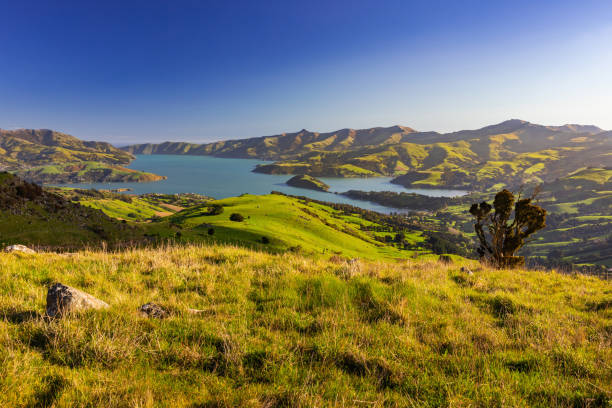 istock Akaroa Harbour, Aotearoa New Zealand, Spring, Day 1354797430