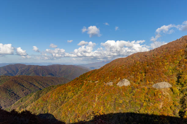 istock mountains in autumn colors 1354797696
