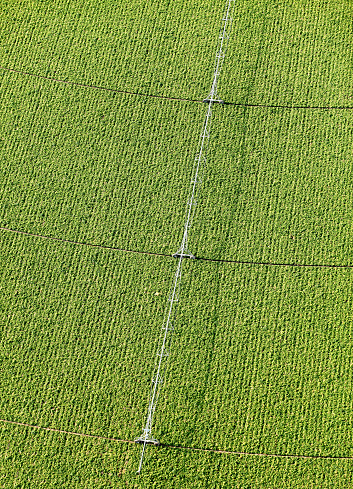 An aerial view of a center pivot far irrigation system in an Idaho alfalfa field.