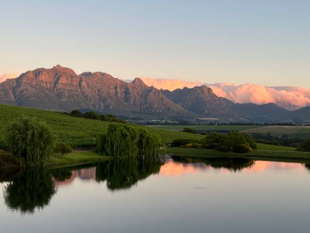 beleza stellenbosch - stellenbosch - fotografias e filmes do acervo