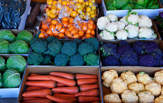High angle view of colorful vegetables and oranges lined up in a box.