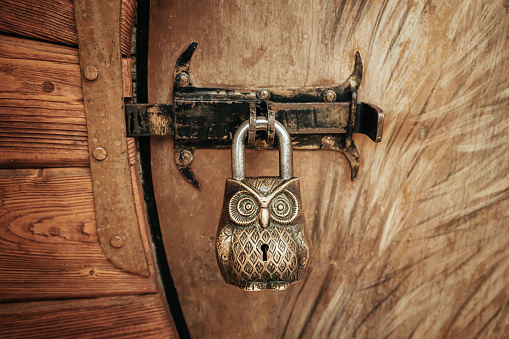 Padlock in the form of an owl on a wooden door. The concept of a quest and mystical adventures