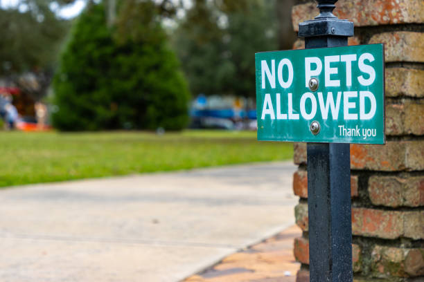 istock No pets allowed sign at public park 1354814171