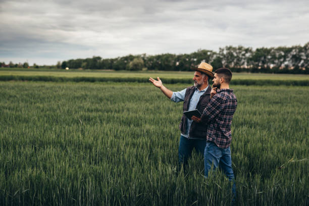 istock farmers on filed 1354816118