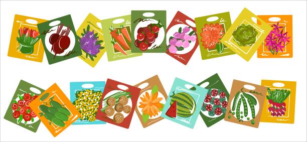ilustraciones, imágenes clip art, dibujos animados e iconos de stock de semillas en bolsas de flores y verduras en un estilo de colores brillantes. en una fila hay paquetes con semillas para crear marcos y enmarcar pancartas. sobre el tema de la siembra de primavera - semillas